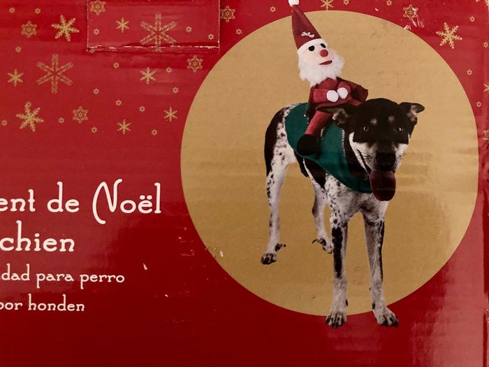 Déguisement noël chien taille M Neuf