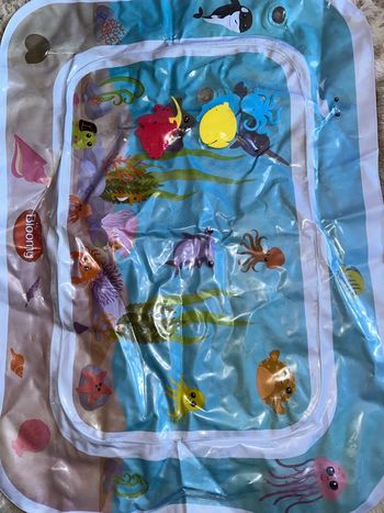 Tapis à eau