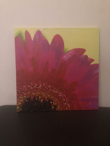 Cadre vert anis et fleurs rose fuchsia 
