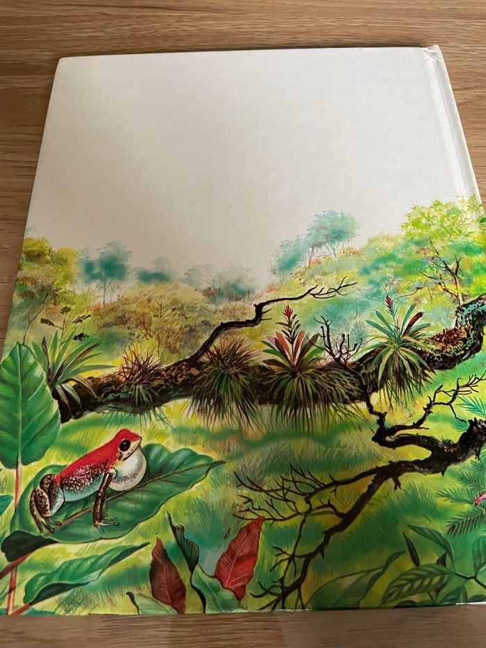 Au pays des singes - photo numéro 2