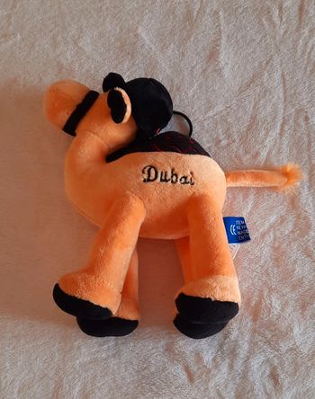 Dromadaire qui vient de Dubaï