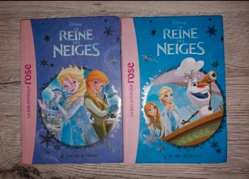 Livre de poche La reine des neiges