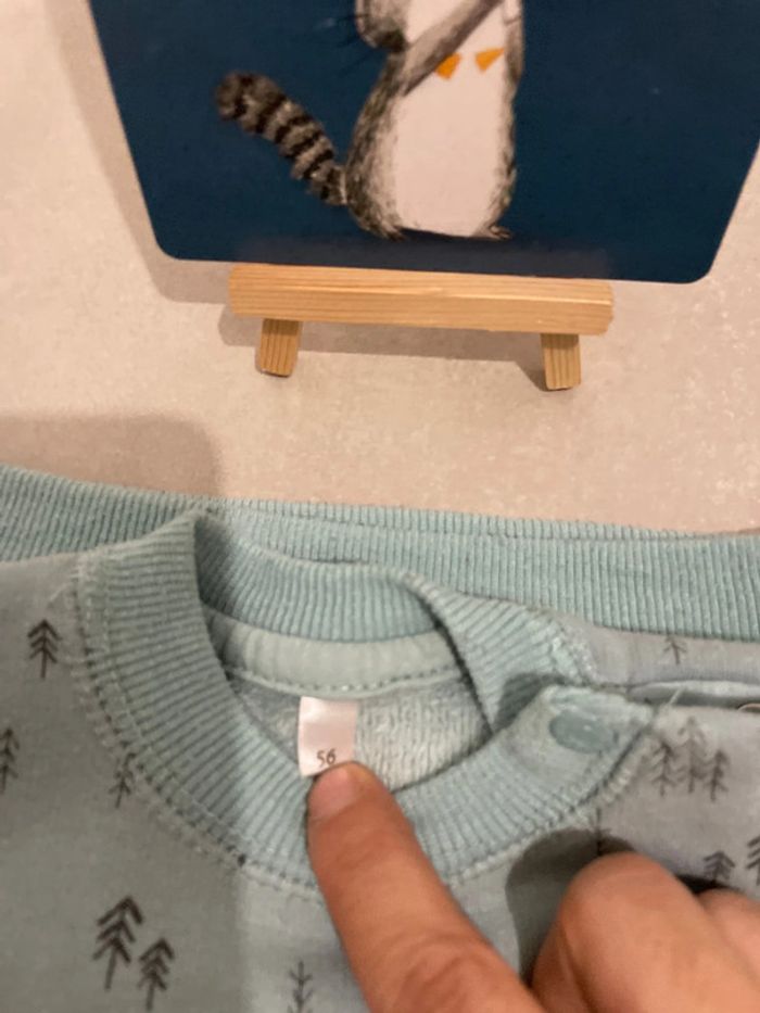 Lot pull - tee-shirt - photo numéro 7