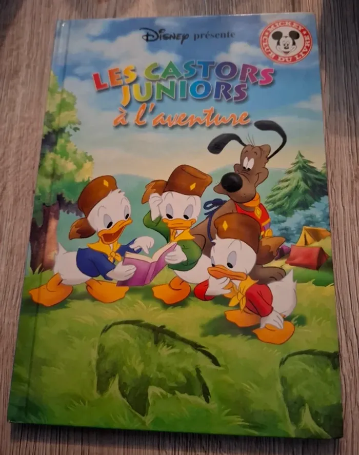 Livre les castors juniors a l'aventure