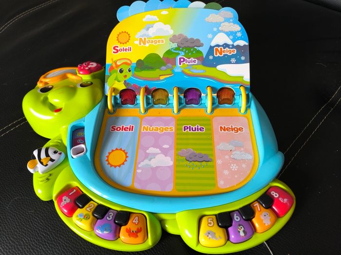 Thaïs la tortue exploratrice - photo numéro 9