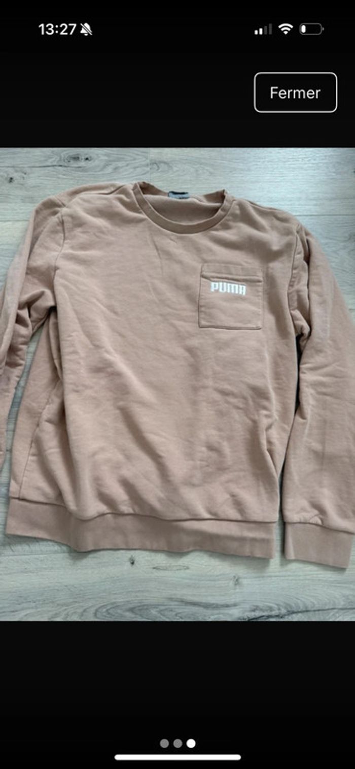 Pull puma - photo numéro 2