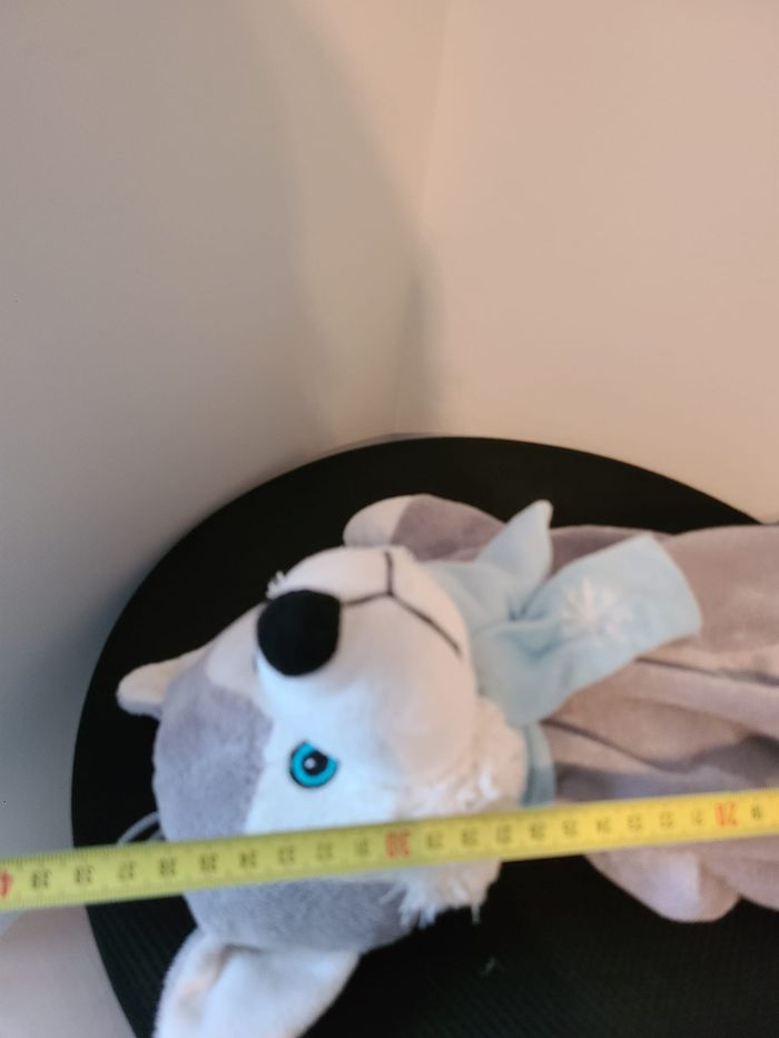 doudou husky - photo numéro 2