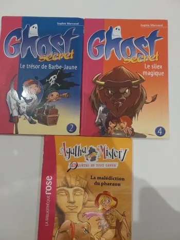 Lot de 2 livres de la bibliothèque rose