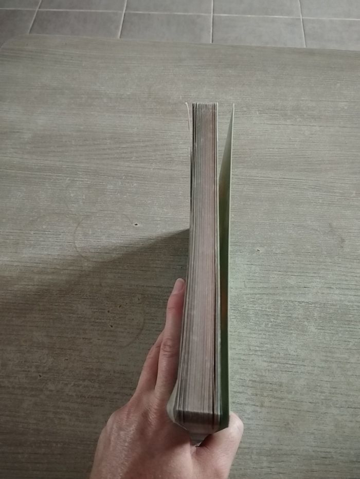 Livre Disney - photo numéro 4