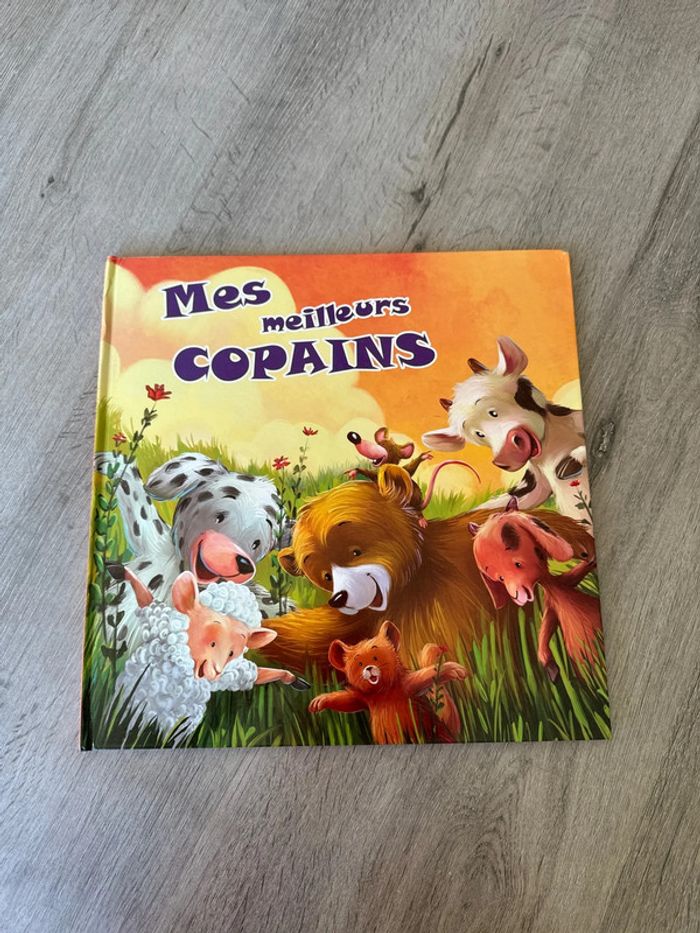 Livre mes meilleurs copains