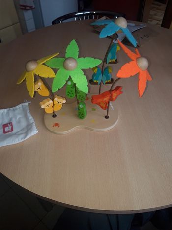 L'ile aux cocotiers de janod