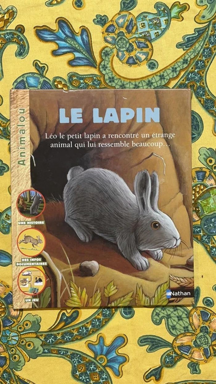 🤩 Le lapin - photo numéro 2