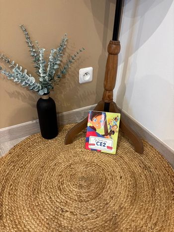 Livre je suis en CE2 une semaine au château