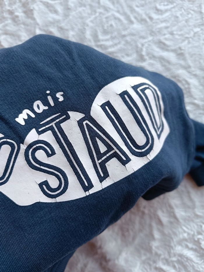 Sweat pull Garçon 24 mois Petit mais costaud Gémo - photo numéro 8