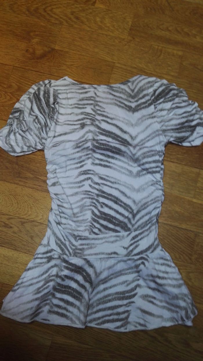 Robe zébrée - photo numéro 2