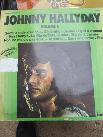Vinyl 33 tour, Johnny Hallyday