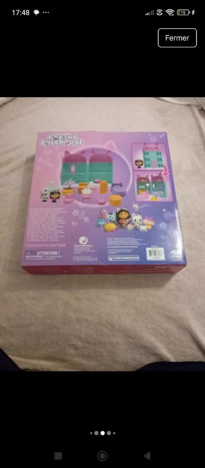 Gabby's chat maison - photo numéro 6