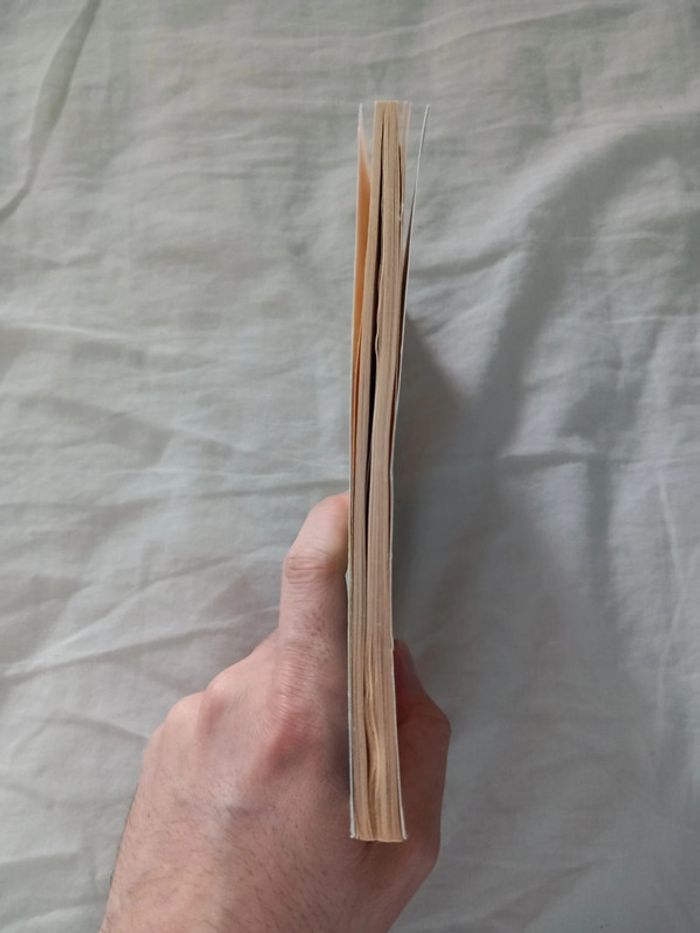 Le rêveur - photo numéro 5