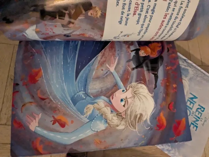 Lot livres Disney - photo numéro 5