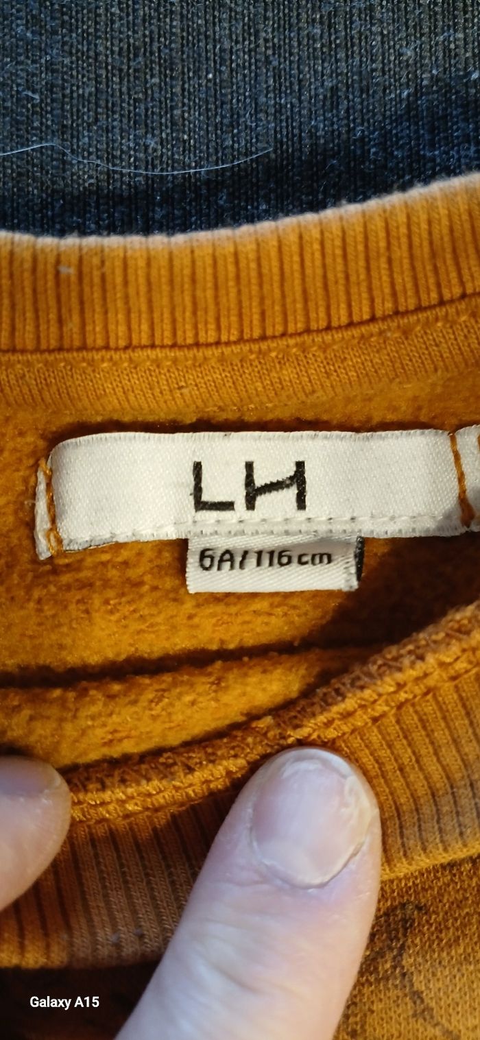 Lot 2 sweats garcons 6 ans - photo numéro 3