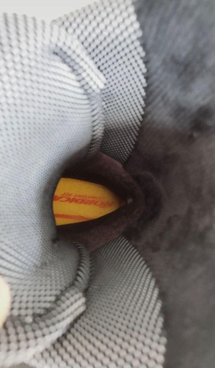 Chaussures de ski Nordica Transfire R2 27,5 - photo numéro 6