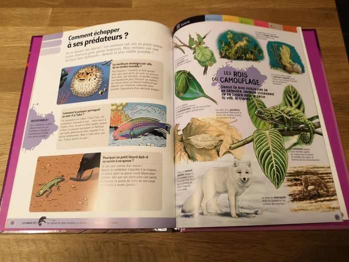 Questions réponses - photo numéro 3