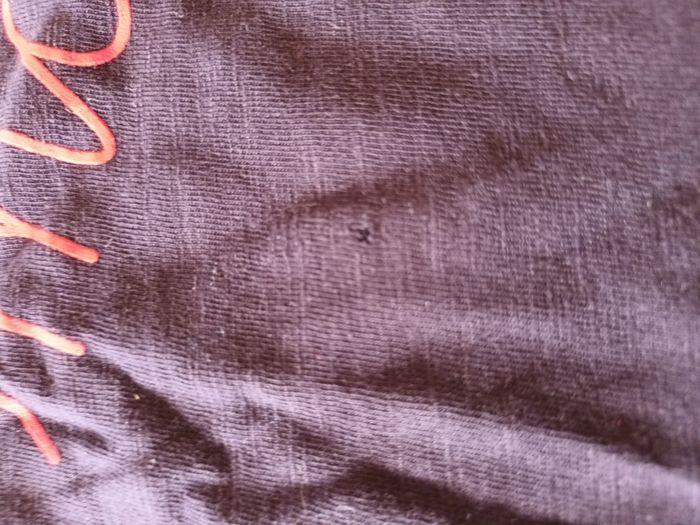 Tee shirt fille 6 ans gemo - photo numéro 2