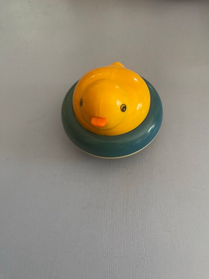 Canard - photo numéro 2