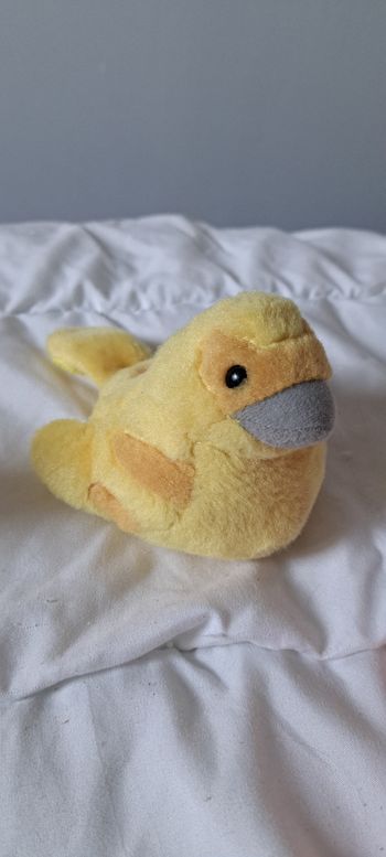 Peluche oiseau