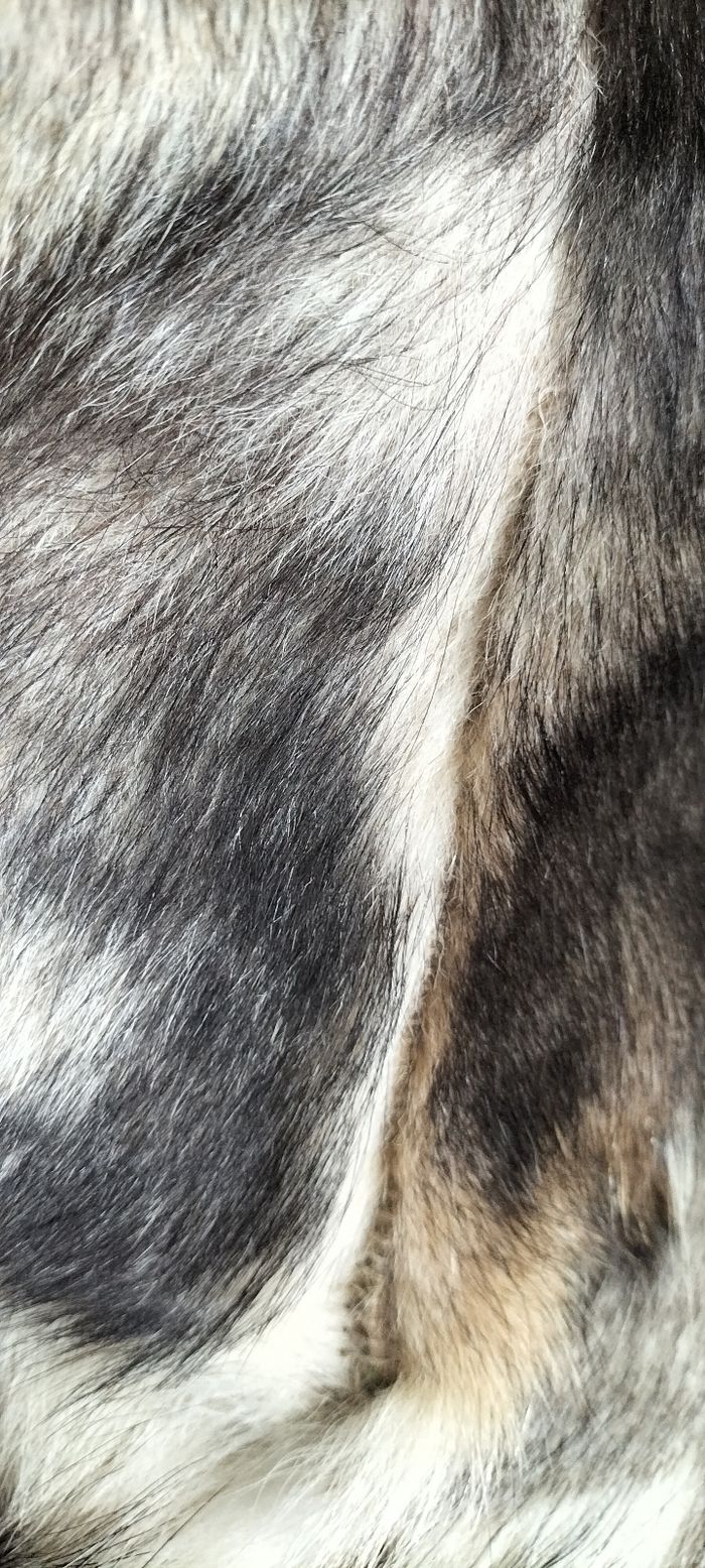 Tapis - photo numéro 3