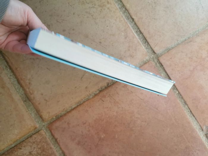 La Maison poussière, livre de Valérie Péronnet - photo numéro 5