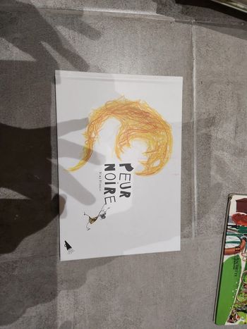 Livre enfant : Peur du noire