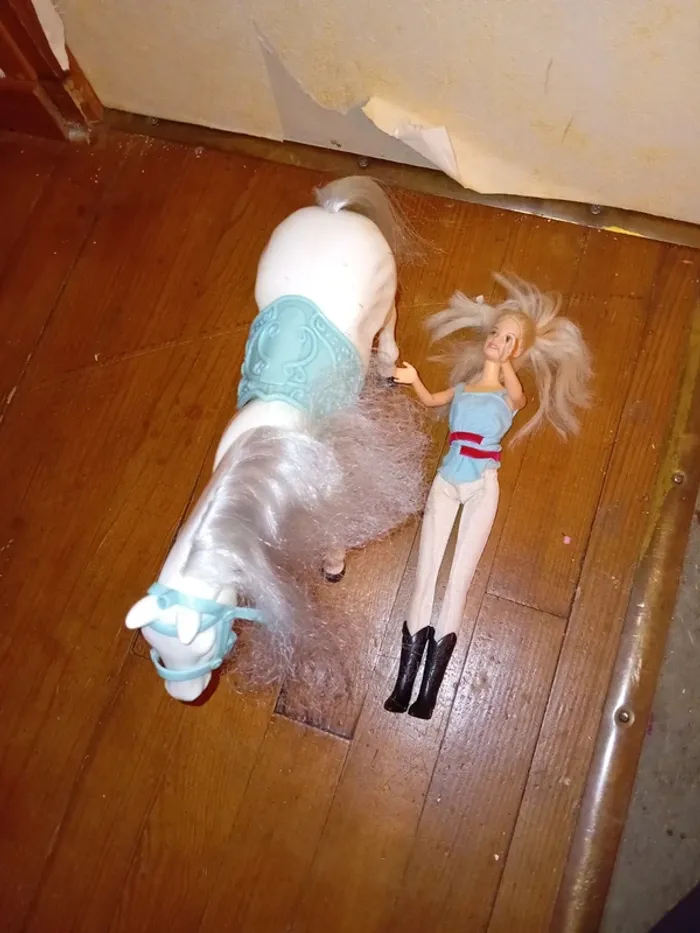 Barbie + Cheval