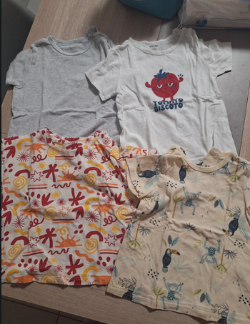 Lot de 4 tshirts bébé garçon