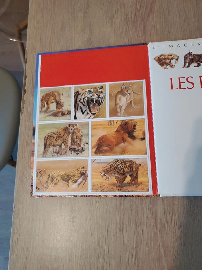 Livre sur les fauves - photo numéro 2