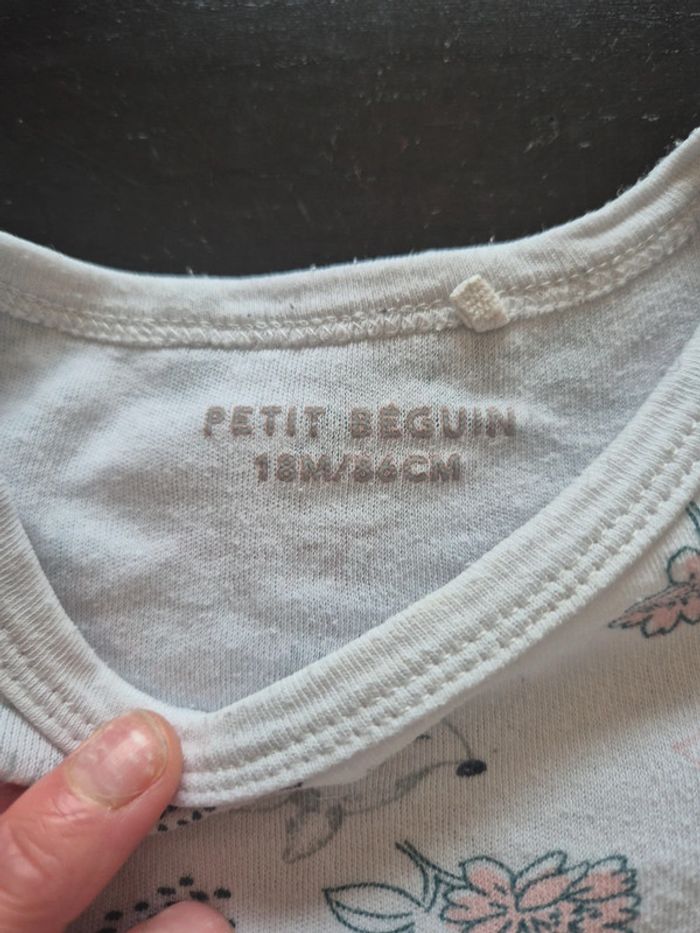 Bodis petit beguin - photo numéro 4