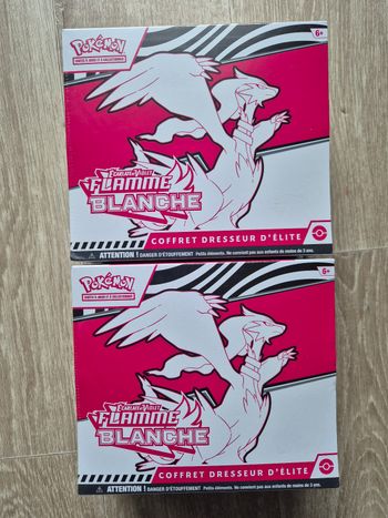 2 etb flamme blanche