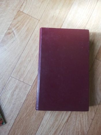 Nostradamus historien et prophète