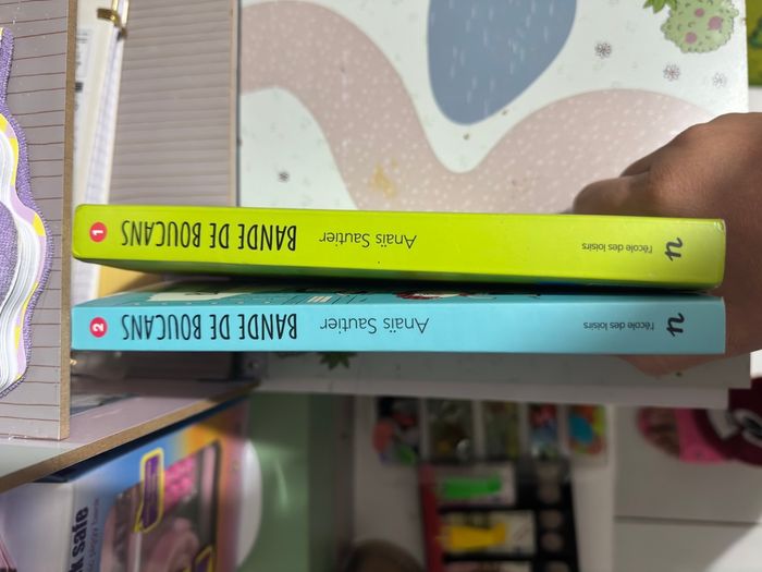 2 livres bande de boucans - photo numéro 3