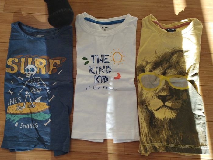 Lot 3 tee shirts manches courtes