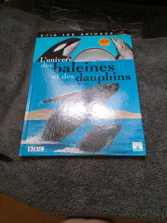 L'univers des baleines et des dauphins 🌟
