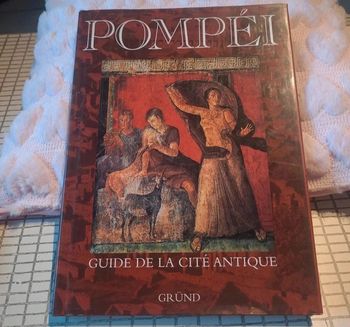 Pompéi. Guide de la cité antique