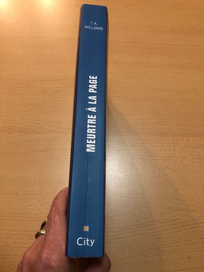 Livre Cosy Mystery « Meurtre à la page » - photo numéro 3