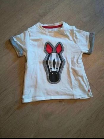 T shirt  zèbre 🦓