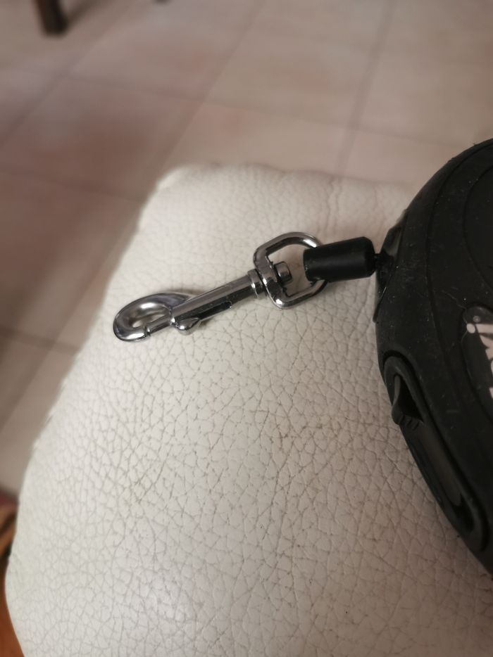 Laisse pour petits chiens Flexi retractable - photo numéro 2