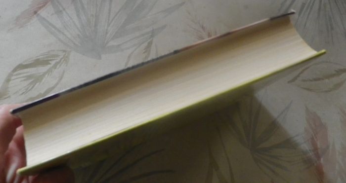 Le don d'Anna de Cecilia Samartin Ed. France Loisirs - photo numéro 4