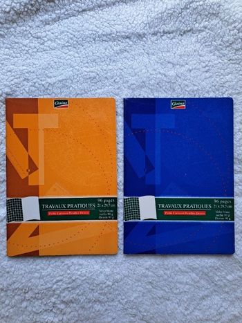 Lot 2 cahiers travaux pratiques 21x29,7cm 96 pages