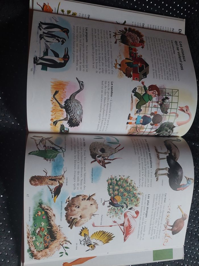 Le livre de la vie, petite encyclopédie - photo numéro 3