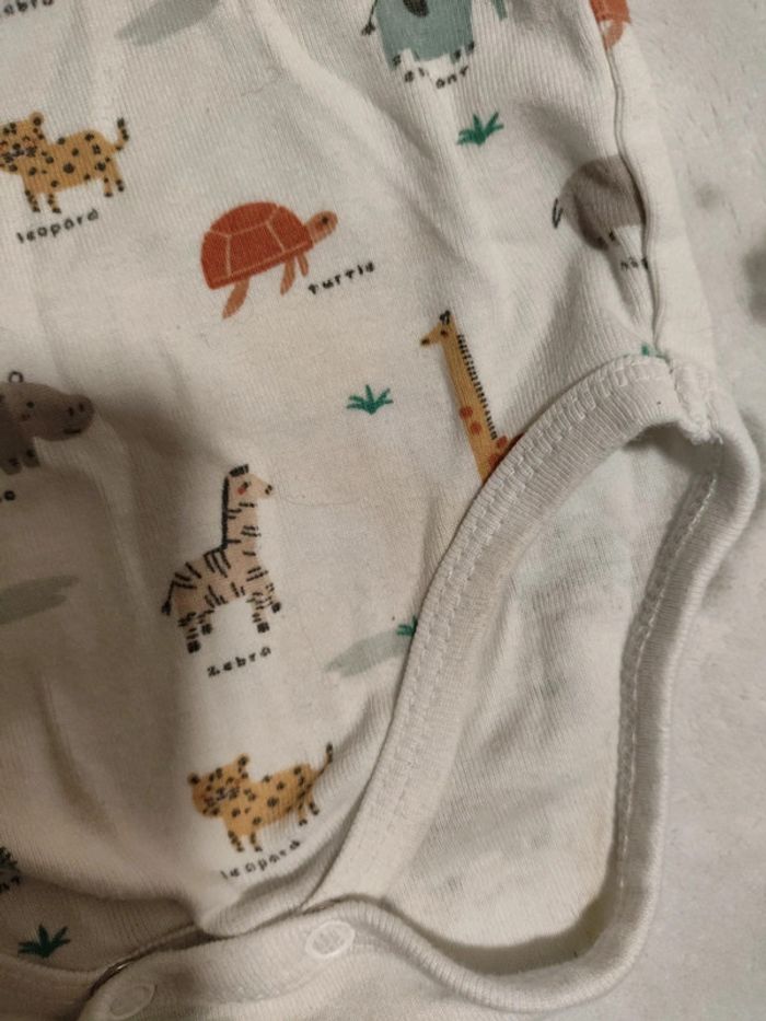 Body 12 mois manche courte - photo numéro 8