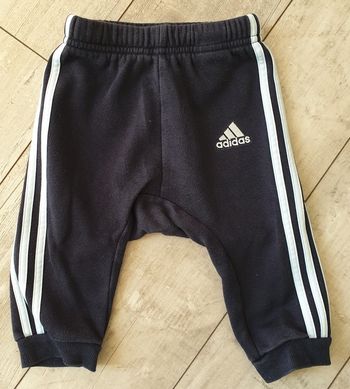 Jogging Adidas